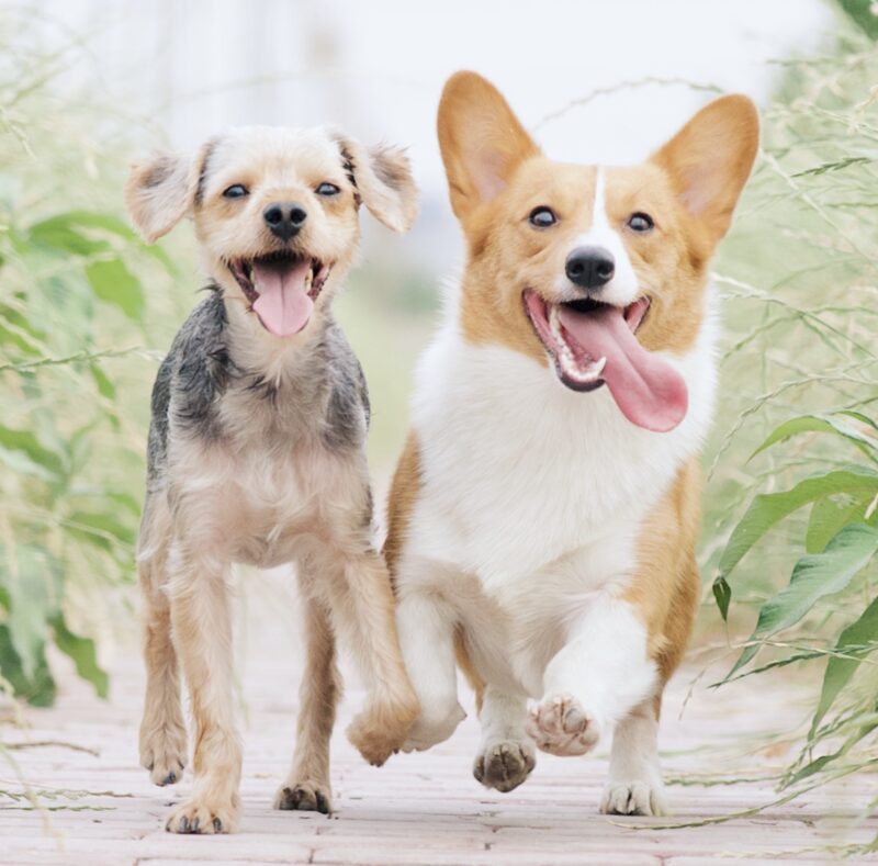 Bildschirmfoto 2023 11 19 um 10 29 51