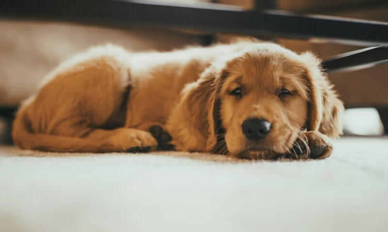 Bildschirmfoto 2023 11 19 um 10 30 01