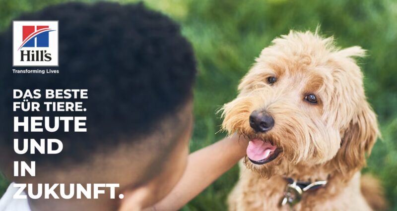 Bildschirmfoto 2023 11 27 um 16 55 36