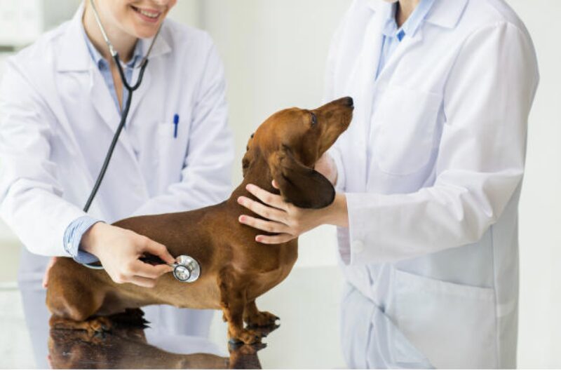 Bildschirmfoto 2023 12 17 um 16 00 05