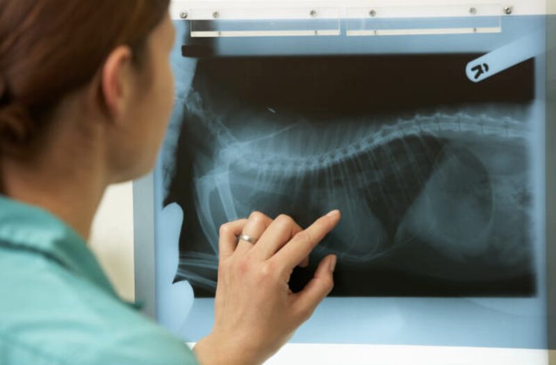 Bildschirmfoto 2023 12 17 um 16 00 25