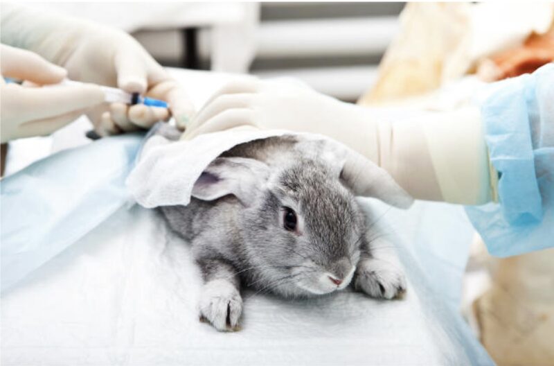 Bildschirmfoto 2023 12 17 um 16 00 47