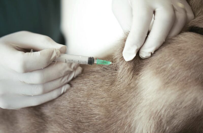 Bildschirmfoto 2023 12 17 um 16 00 56