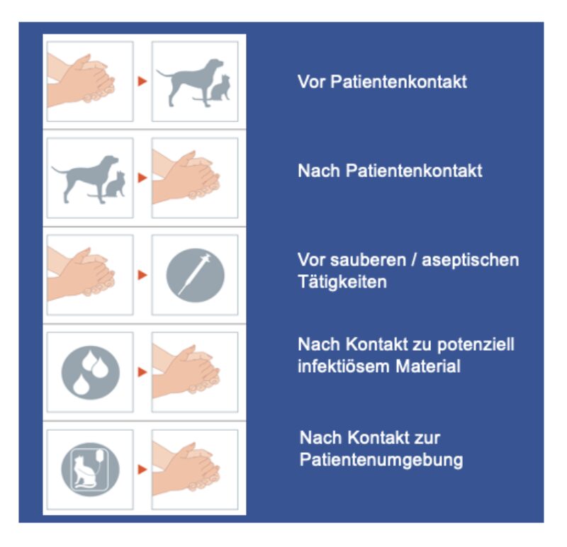 Bildschirmfoto 2024 01 15 um 16 13 52