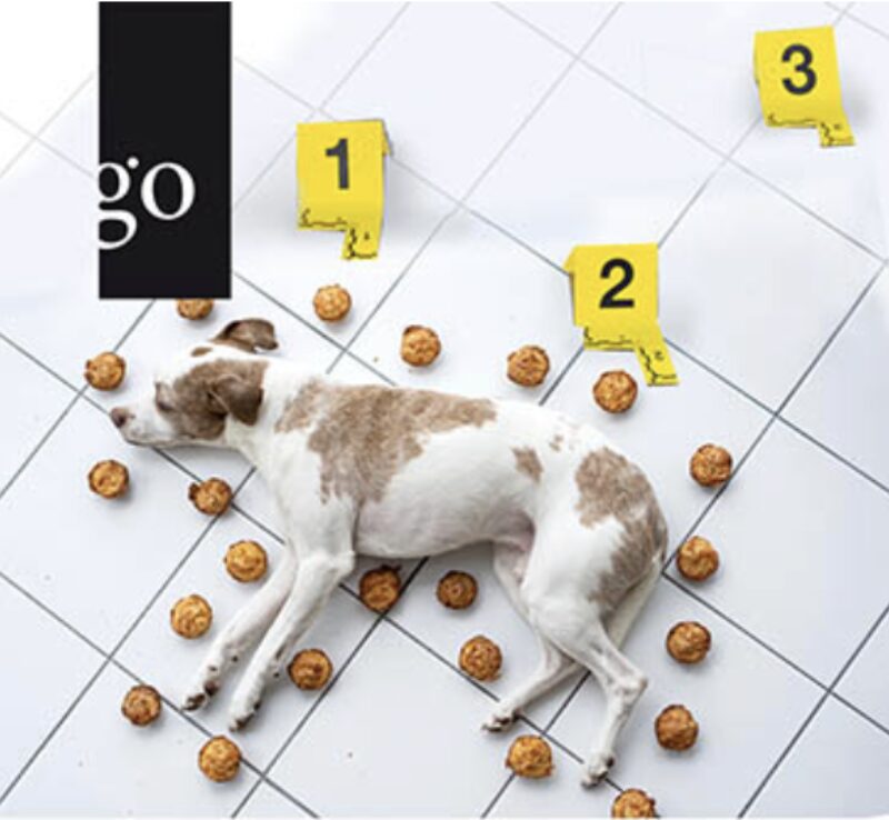 Bildschirmfoto 2024 01 28 um 15 25 47