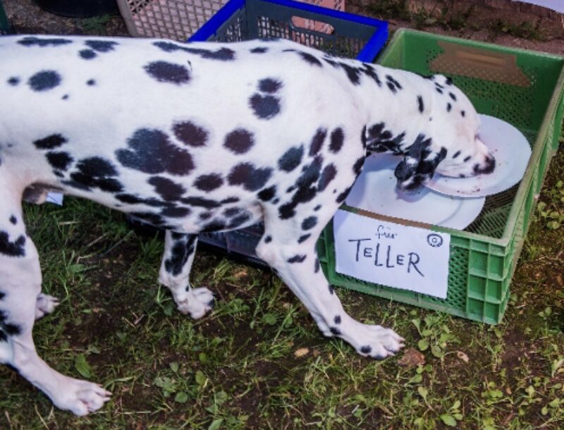 Bildschirmfoto 2024 02 08 um 09 37 55