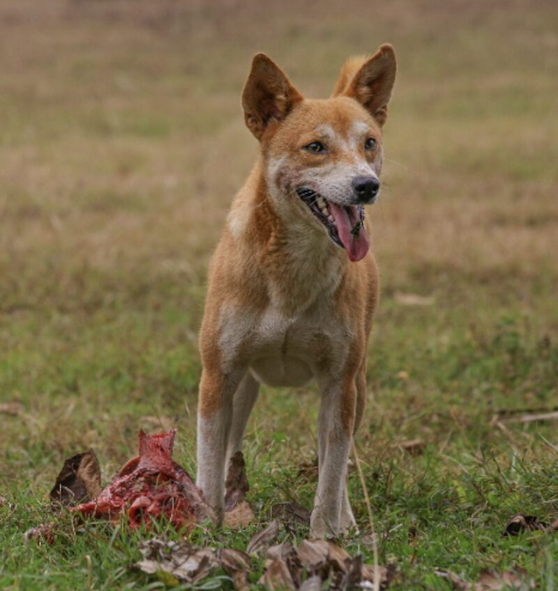 Bildschirmfoto 2024 02 08 um 09 38 02