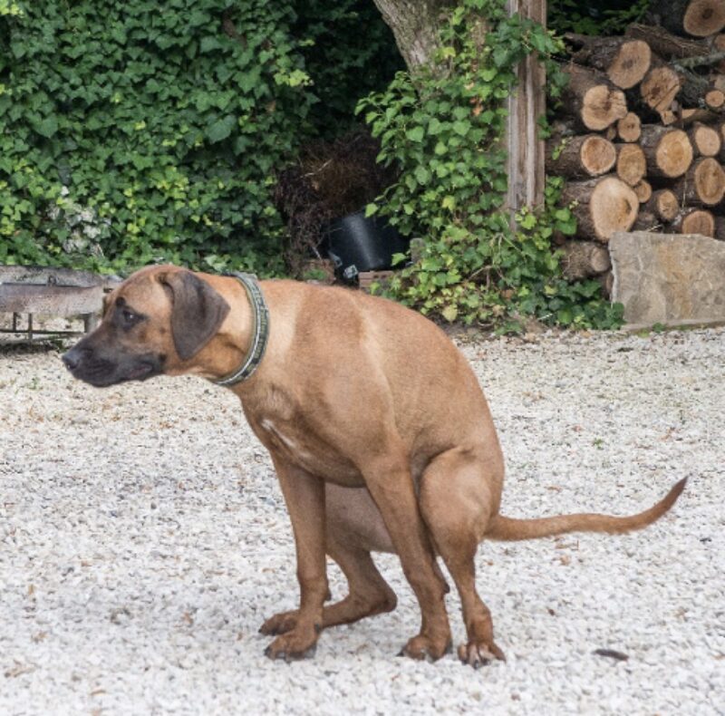 Bildschirmfoto 2024 02 08 um 09 38 10