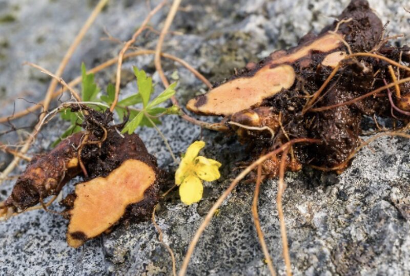 Bildschirmfoto 2024 02 08 um 09 38 24