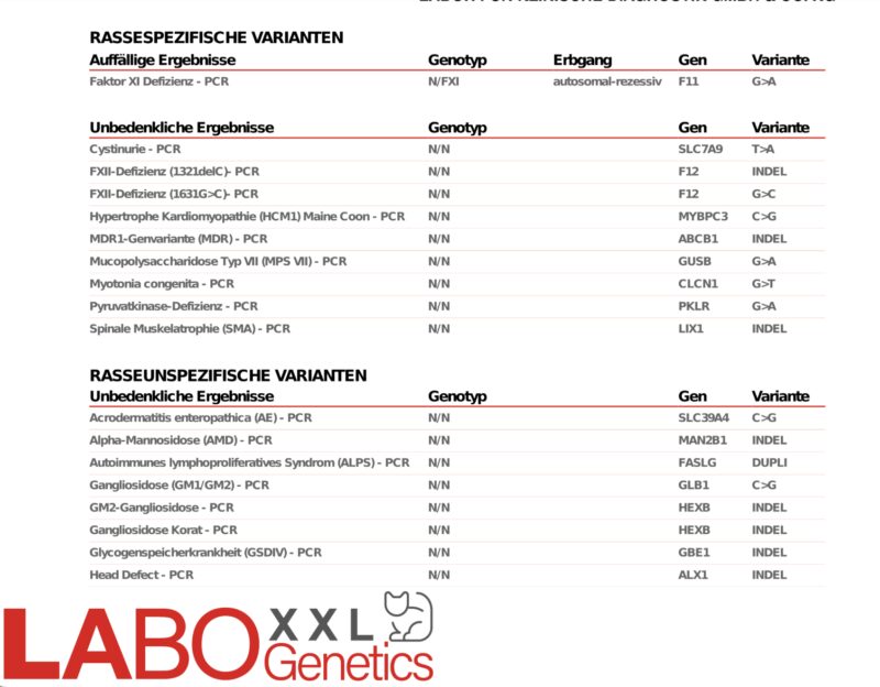 Bildschirmfoto 2024 02 15 um 14 58 06