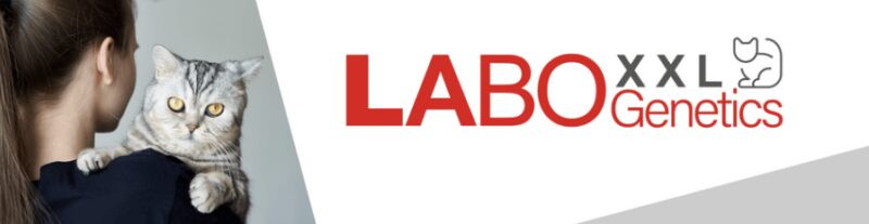 Bildschirmfoto 2024 02 15 um 15 28 33