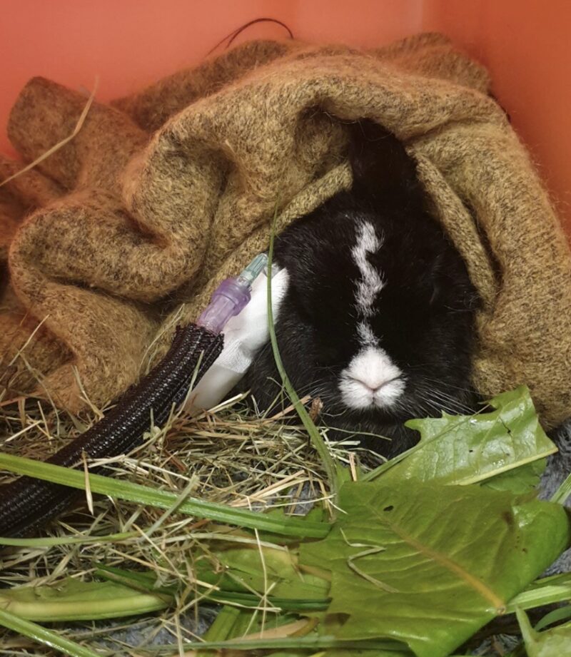 Bildschirmfoto 2024 02 15 um 16 58 06