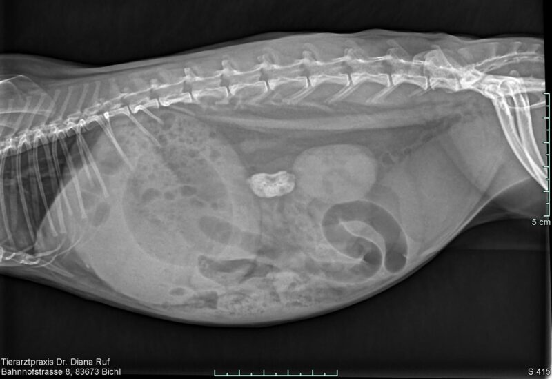 Bildschirmfoto 2024 02 15 um 16 59 23