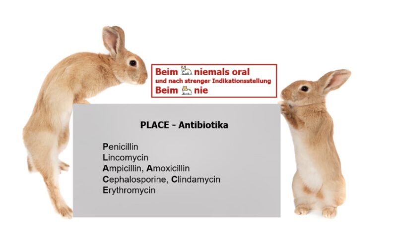 Bildschirmfoto 2024 02 15 um 17 03 37