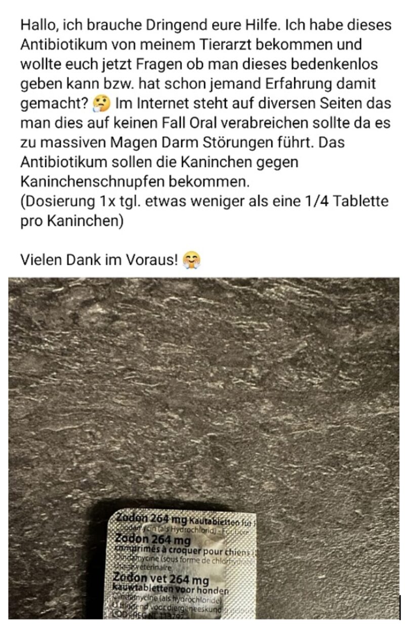 Bildschirmfoto 2024 02 15 um 17 04 45