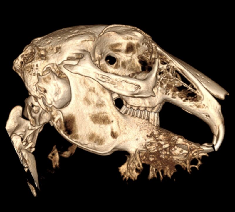 Bildschirmfoto 2024 02 19 um 09 44 17