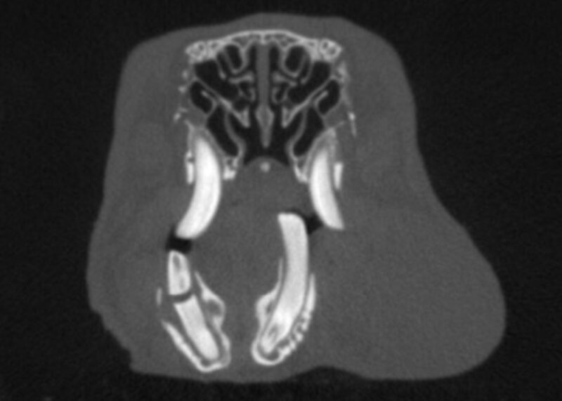 Bildschirmfoto 2024 02 19 um 09 44 55