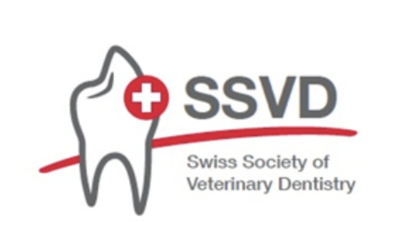 Bildschirmfoto 2024 02 19 um 09 46 30