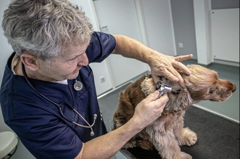 Bildschirmfoto 2024 02 25 um 19 37 27