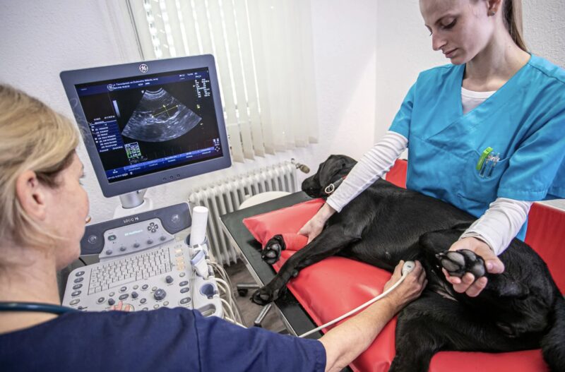 Bildschirmfoto 2024 02 25 um 19 37 57