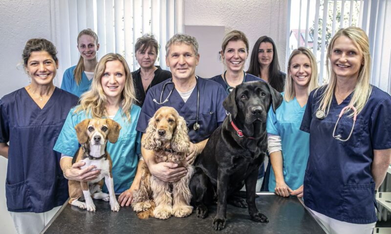 Bildschirmfoto 2024 02 25 um 19 38 17