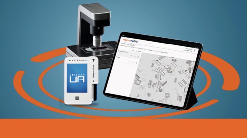 Bildschirmfoto 2024 03 14 um 16 25 31