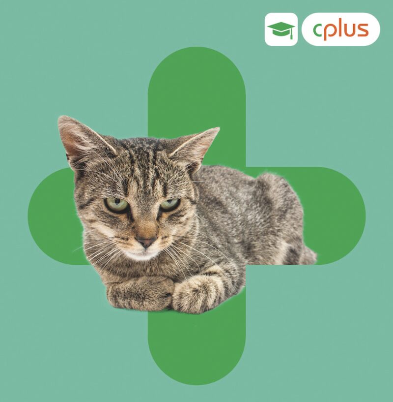 Bildschirmfoto 2024 03 19 um 21 37 08