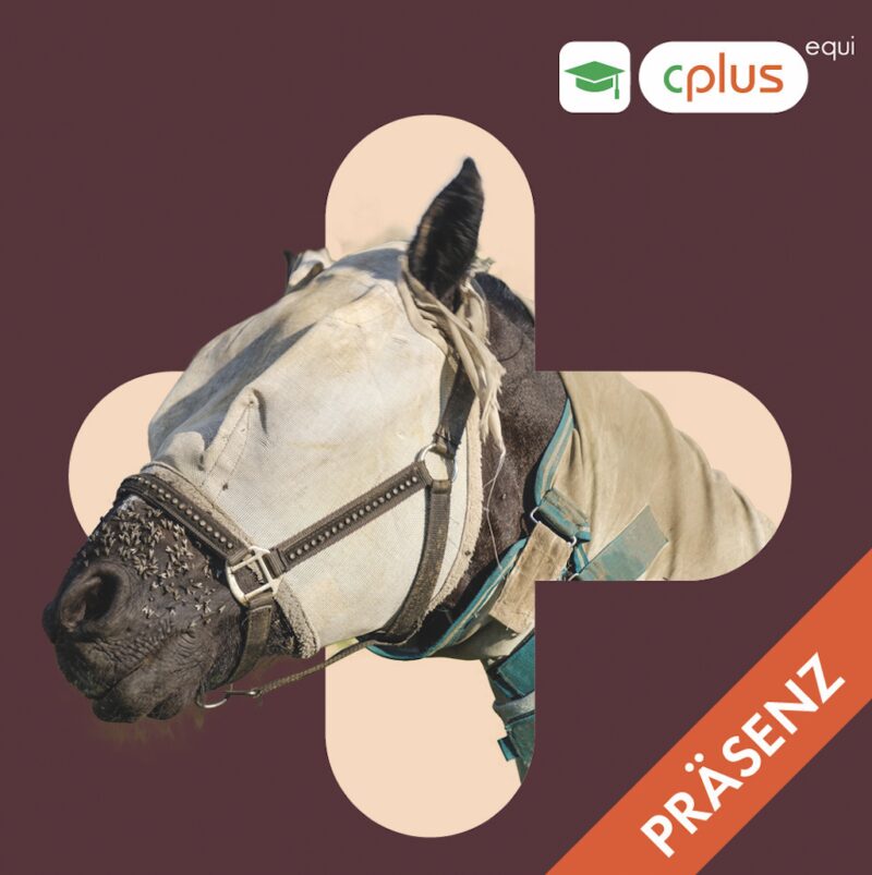 Bildschirmfoto 2024 03 19 um 21 38 08