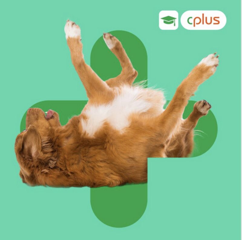 Bildschirmfoto 2024 03 19 um 21 51 05