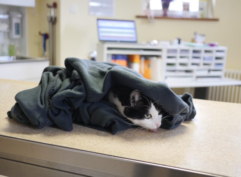 Bildschirmfoto 2024 03 23 um 10 03 22