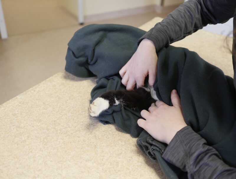 Bildschirmfoto 2024 03 23 um 10 03 46