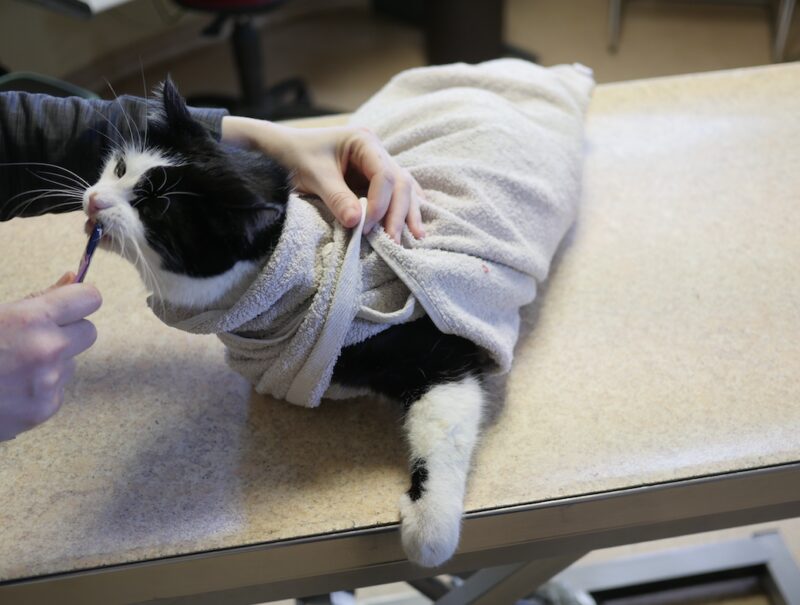 Bildschirmfoto 2024 03 23 um 10 03 57