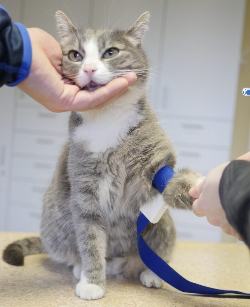 Bildschirmfoto 2024 03 23 um 10 04 42