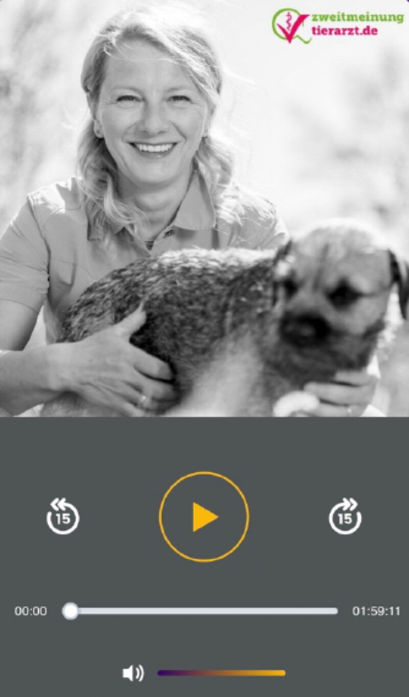 Bildschirmfoto 2024 03 26 um 10 09 02