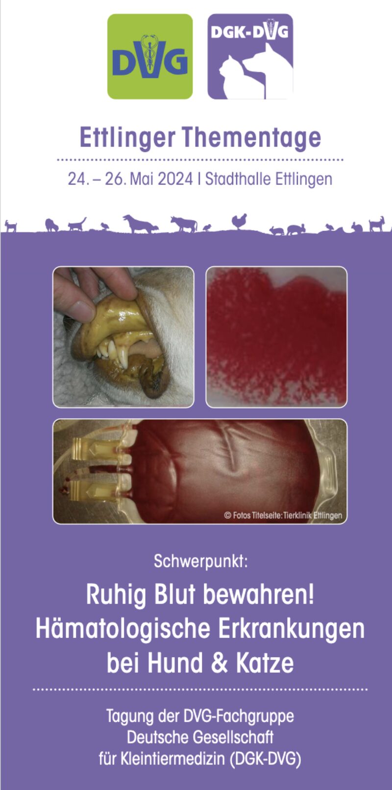 Bildschirmfoto 2024 04 08 um 09 57 29