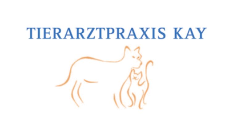 Bildschirmfoto 2024 04 09 um 20 13 50