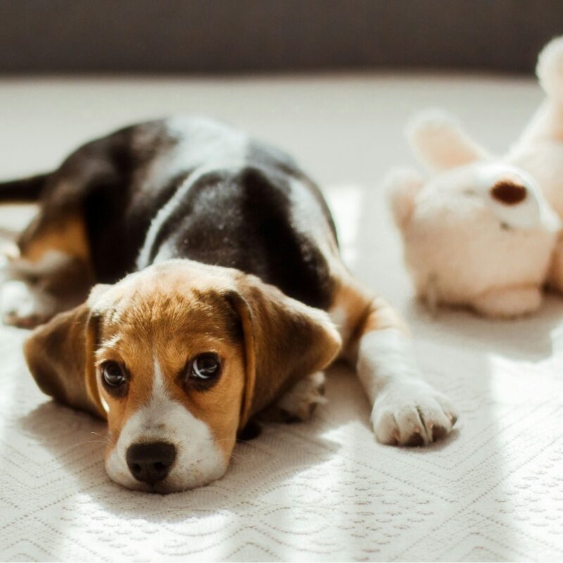 464247819 122126510636398114 8277638267959069904 n