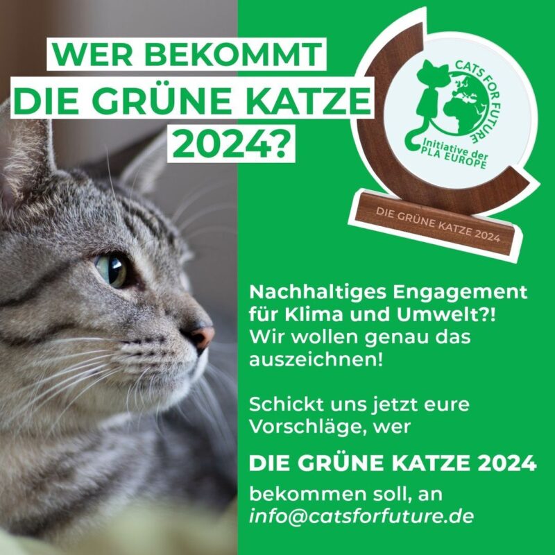 464328546 546300251311372 2157199032509163583 n