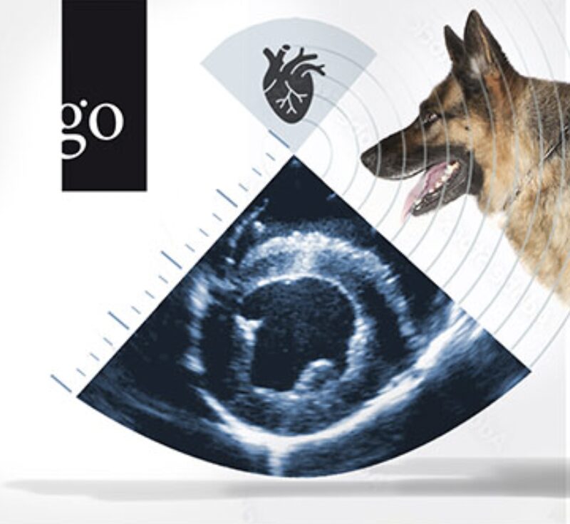 Bildschirmfoto 2024 04 18 um 12 44 25