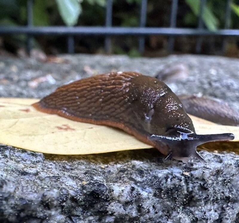 Bildschirmfoto 2024 04 19 um 19 15 08