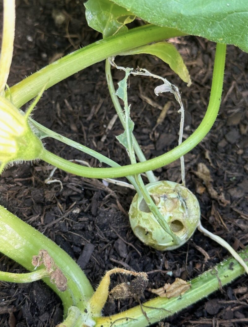 Bildschirmfoto 2024 04 19 um 19 14 50