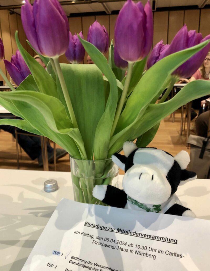 Bildschirmfoto 2024 04 24 um 07 46 44