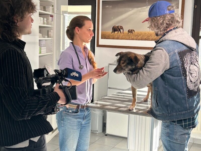 481046945 1089007749920017 5388783324973825153 n