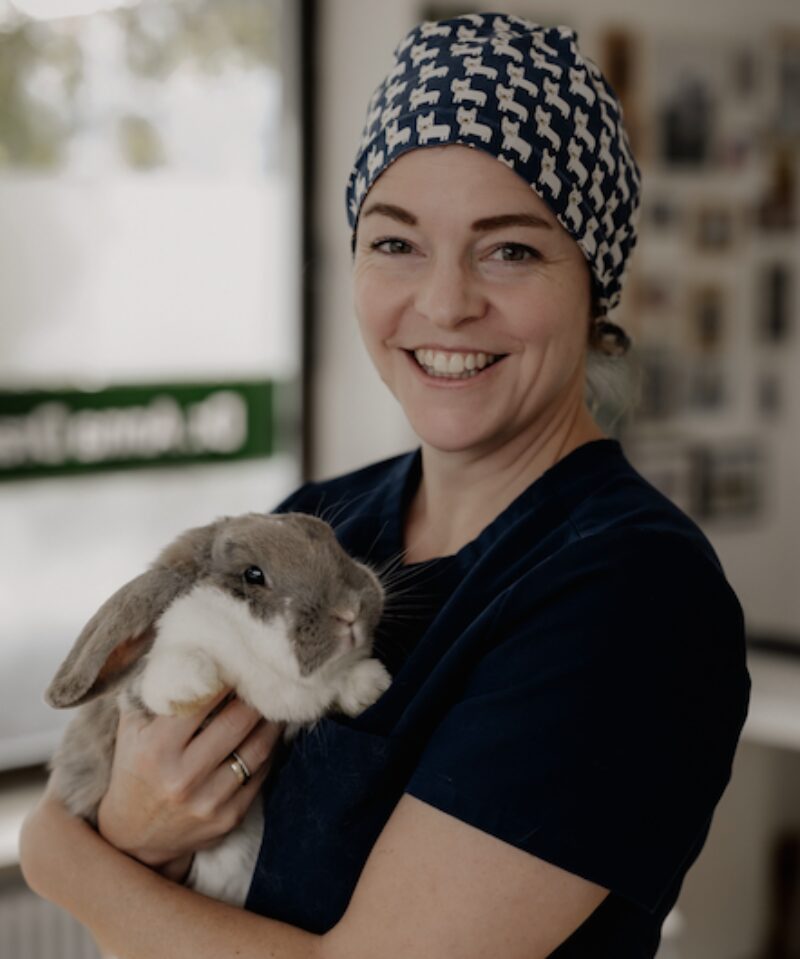 Bildschirmfoto 2024 05 20 um 16 53 21