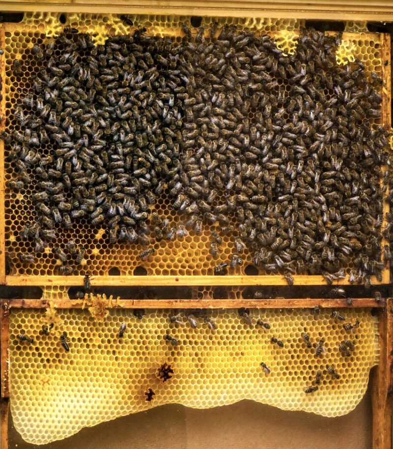 Bildschirmfoto 2024 06 09 um 13 28 34