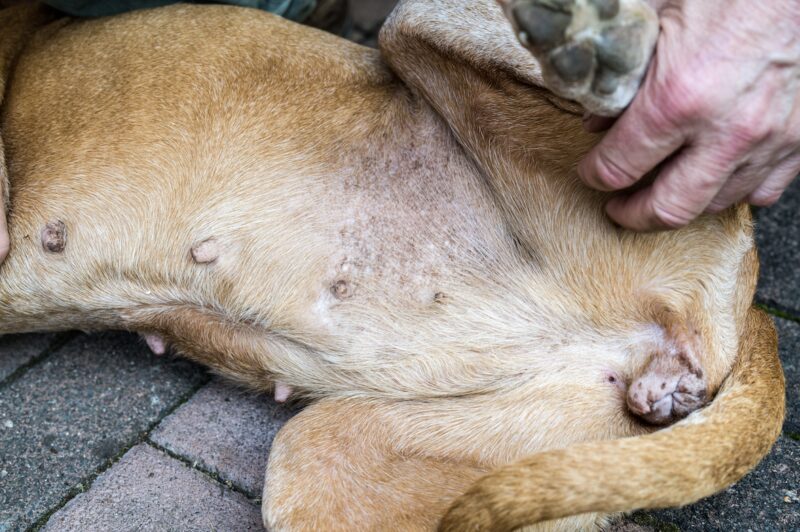 Bildschirmfoto 2024 06 09 um 13 29 07