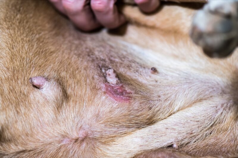 Bildschirmfoto 2024 06 09 um 13 29 22