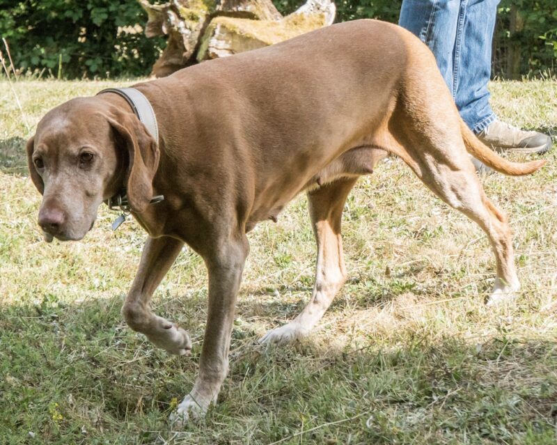 Bildschirmfoto 2024 06 09 um 13 31 42