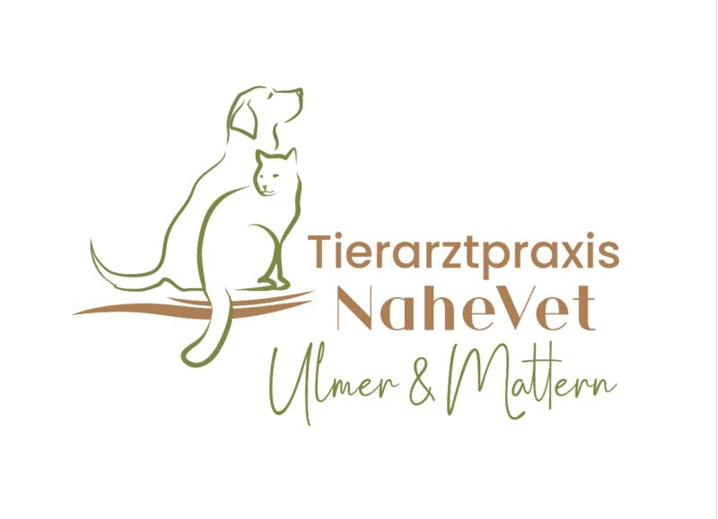 Bildschirmfoto 2024 06 10 um 13 42 38