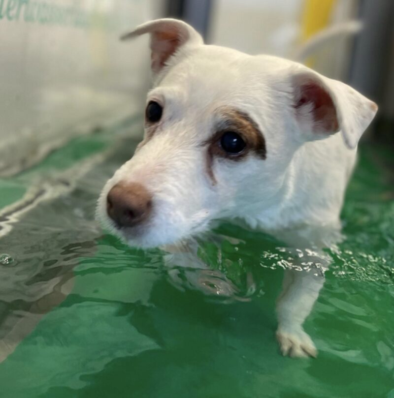 Bildschirmfoto 2024 06 12 um 16 00 43